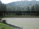 IMG_0482_zps3e33598d.jpg