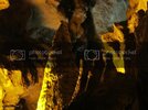 IMG_0788_zps679e11c5.jpg