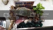 28_zps3214bbda.jpg