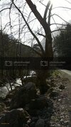 2015-02-07-1589_zpsywgdutzc.jpg