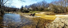 DSCF8012.jpg DSCF8012.jpg