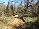 DSCF8044.jpg DSCF8044.jpg