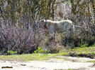 DSCF8137.jpg DSCF8137.jpg