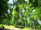 DSCF8205.jpg DSCF8205.jpg
