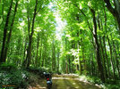 DSCF8210.jpg DSCF8210.jpg