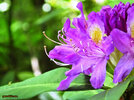 DSCF8234.jpg DSCF8234.jpg
