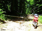 DSCF8252.jpg DSCF8252.jpg