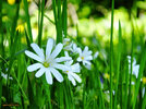 DSCF8329.jpg DSCF8329.jpg