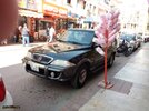 9b0599cd82caf5494acd800c9d251ecf.jpg