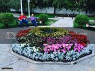 IMG-20150804-WA0013_zpslangzrwv.jpg