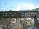 DSC04362.jpg