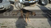 DSC08736.jpg