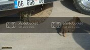 DSC08737.jpg