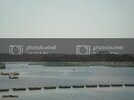 DSC05579.jpg