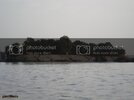 DSC05650.jpg