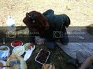 Fotoraf-0172.jpg