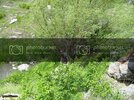 SDC15885.jpg