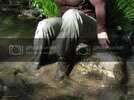 SDC16008.jpg