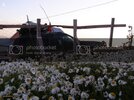 17Mays2010-2324.jpg