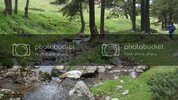 DSC09417.jpg