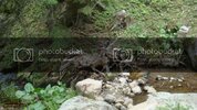 DSC09543.jpg