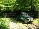 DSC00431.jpg