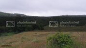 SDC11181.jpg