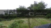 SDC11184.jpg