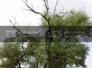 Fotoraf030.jpg