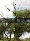 Fotoraf029.jpg
