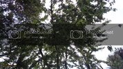 SDC11280.jpg
