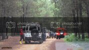 SDC11405.jpg
