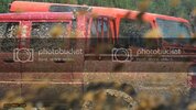 SDC11482.jpg