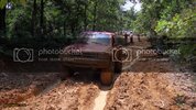 SDC11485.jpg