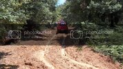 SDC11486.jpg