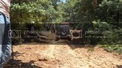 SDC11496.jpg