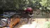 SDC11536.jpg