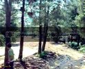 th_11072010010-1.jpg
