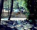 th_11072010011-1.jpg