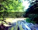 th_11072010013-1.jpg