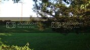 DSC00332.jpg
