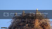 DSC00336.jpg