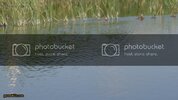 DSC00516.jpg