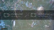 DSC00517.jpg