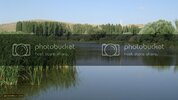 DSC00531.jpg