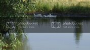DSC00534.jpg