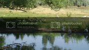 DSC00535.jpg