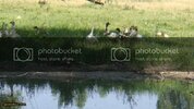 DSC00536.jpg
