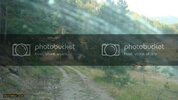 DSC00605.jpg