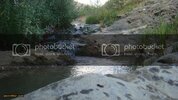 DSC00660.jpg